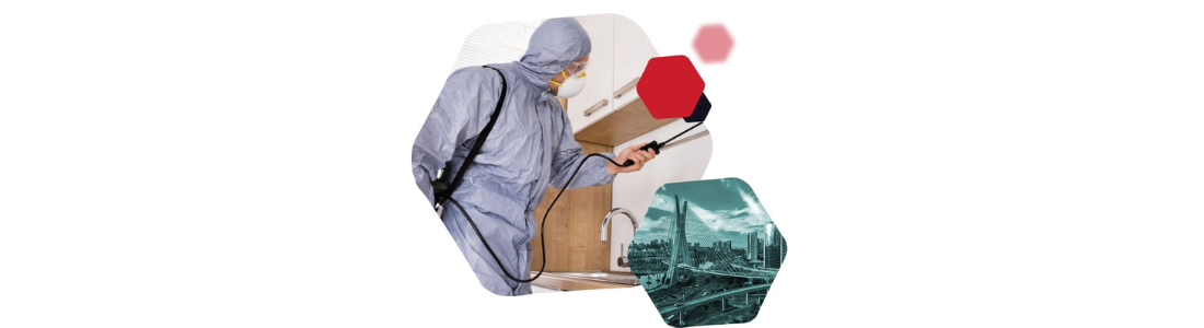 Dedetizadora para Baratas, Ratos, Cupins e Escorpiões 24 HORAS